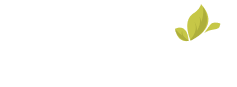 shatoot-soft