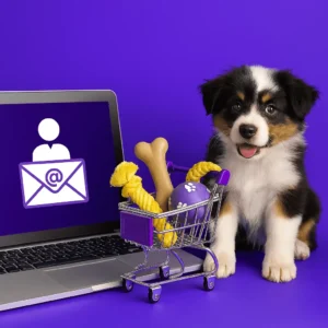 استراتژی‌های CRM و بازاریابی ایمیلی برای پت‌شاپ‌ها